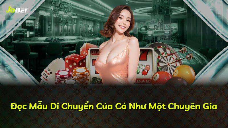 Đọc Mẫu Di Chuyển Của Cá Như Một Chuyên Gia