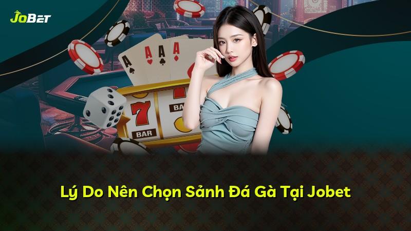 Lý Do Nên Chọn Sảnh Đá Gà Tại Jobet